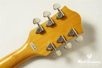G2420 STREAMLINER HOLLOW BODY WITH CHROMATIC II VILLAGE AMBER